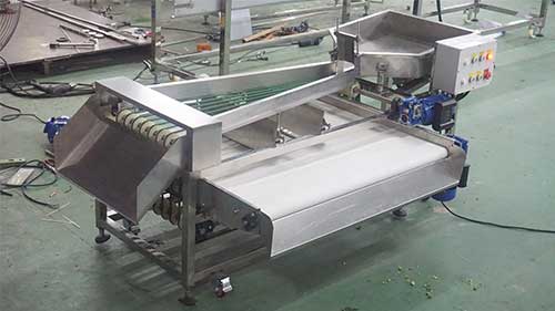 Belt-Type Vegetable Fruit Sorting and Grading Machine - For Frozen or Fresh Broccoli Plum Cherry