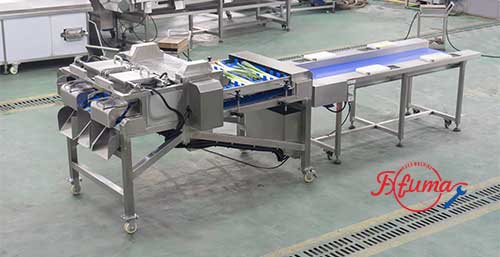 Industrial Garlic Shoot Celery Asparagus Root Trimming and Cutting Machine