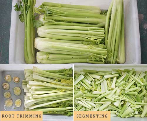 Dual-Head Vegetable Root Trimming and Cutting Machine for Garlic Onion, Scallions, Asparagus