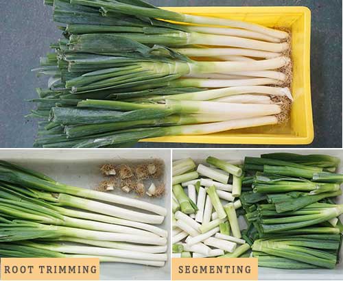 Dual-Head Vegetable Root Trimming and Cutting Machine for Garlic Onion, Scallions, Asparagus
