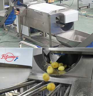 Automatic Fresh/Frozen French Fries Production Line - Washing, Peeling, Sorting, Cutting, Dewatering
