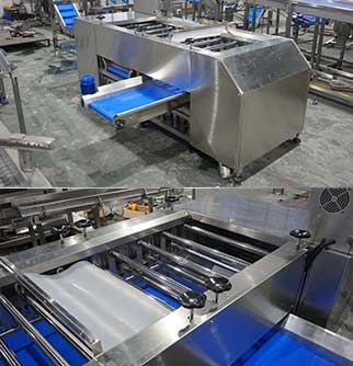 Automatic Fresh/Frozen French Fries Production Line - Washing, Peeling, Sorting, Cutting, Dewatering