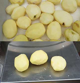 Automatic Fresh/Frozen French Fries Production Line - Washing, Peeling, Sorting, Cutting, Dewatering