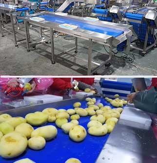 Automatic Fresh/Frozen French Fries Production Line - Washing, Peeling, Sorting, Cutting, Dewatering