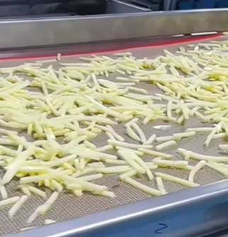 Automatic Fresh/Frozen French Fries Production Line - Washing, Peeling, Sorting, Cutting, Dewatering