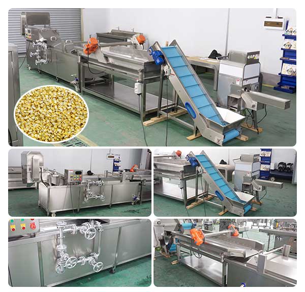 Small Scale Fresh Sweet Corn Kernel Thresher Blancher Dewater Machine