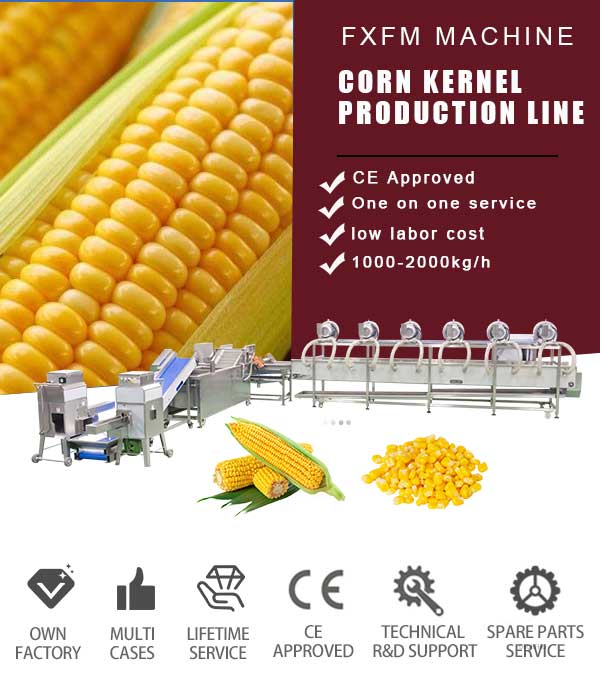 2000kg/h Corn Kernel Processing Line - Shelling, Blanching, Air Drying