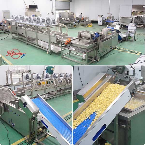 2000kg/h Corn Kernel Processing Line - Shelling, Blanching, Air Drying