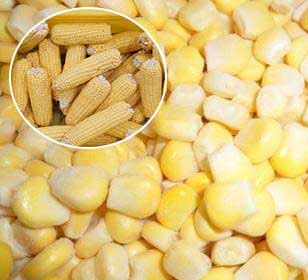2000kg/h Corn Kernel Processing Line - Shelling, Blanching, Air Drying