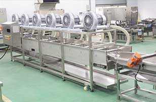 2000kg/h Corn Kernel Processing Line - Shelling, Blanching, Air Drying
