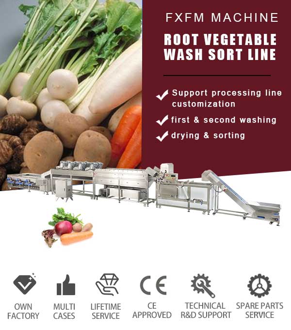 Beetroot Swede Cassava Potato Double-Washing Sorting Grading Line