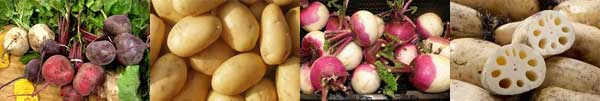Beetroot Swede Cassava Potato Double-Washing Sorting Grading Line