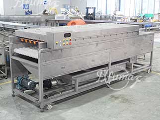 Beetroot Swede Cassava Potato Double-Washing Sorting Grading Line