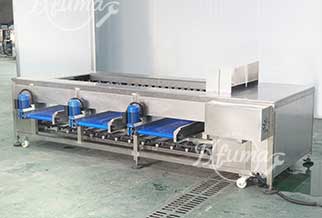 Beetroot Swede Cassava Potato Double-Washing Sorting Grading Line