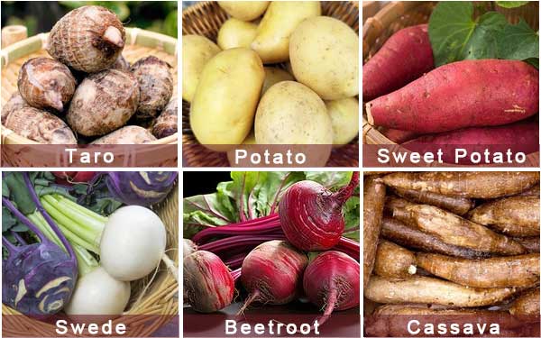 Beetroot Swede Cassava Potato Double-Washing Sorting Grading Line
