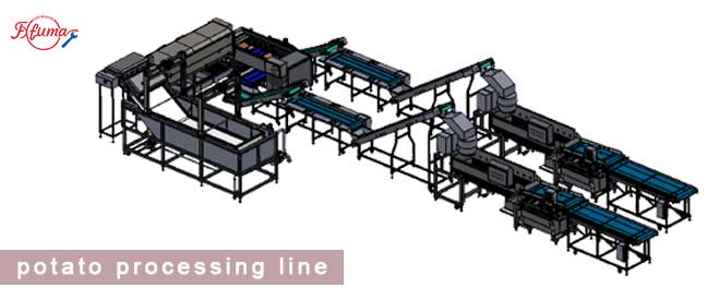 Complete Guide to Potato Processing Line: Front, Mid, and End Stage Machinery