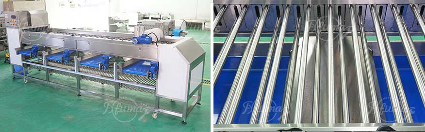 Complete Guide to Potato Processing Line: Front, Mid, and End Stage Machinery