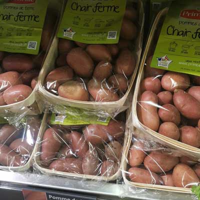 Complete Guide to Potato Processing Line: Front, Mid, and End Stage Machinery