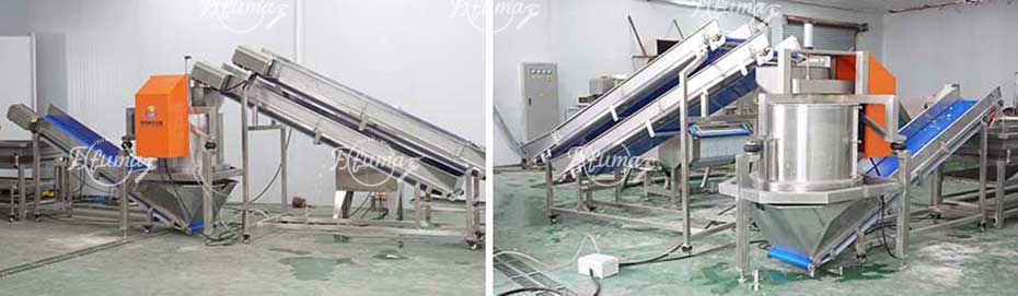 Complete Guide to Potato Processing Line: Front, Mid, and End Stage Machinery