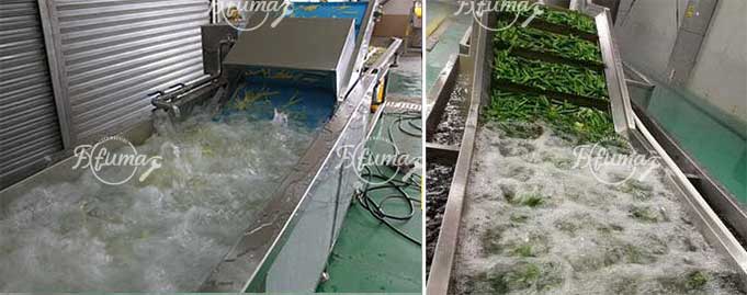 Complete Guide to Potato Processing Line: Front, Mid, and End Stage Machinery