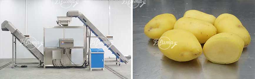 Complete Guide to Potato Processing Line: Front, Mid, and End Stage Machinery