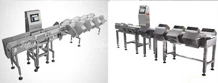 Complete Guide to Potato Processing Line: Front, Mid, and End Stage Machinery
