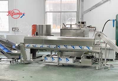 Small Scale Plum Emblica Gooseberry Juice Processing Line - Washing, Coring, Blanching, Juice Extraction