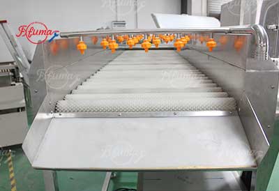 Small Scale Plum Emblica Gooseberry Juice Processing Line - Washing, Coring, Blanching, Juice Extraction