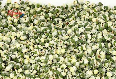 Small Scale Plum Emblica Gooseberry Juice Processing Line - Washing, Coring, Blanching, Juice Extraction