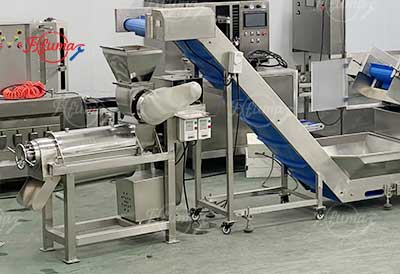 Small Scale Plum Emblica Gooseberry Juice Processing Line - Washing, Coring, Blanching, Juice Extraction