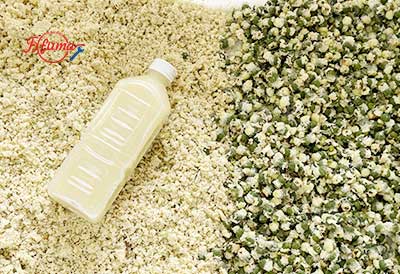 Small Scale Plum Emblica Gooseberry Juice Processing Line - Washing, Coring, Blanching, Juice Extraction