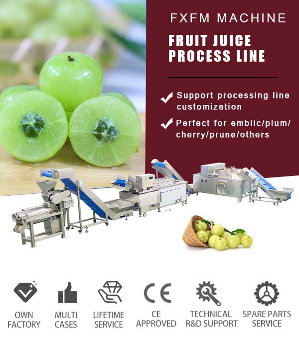 Small Scale Plum Emblica Gooseberry Juice Processing Line - Washing, Coring, Blanching, Juice Extraction