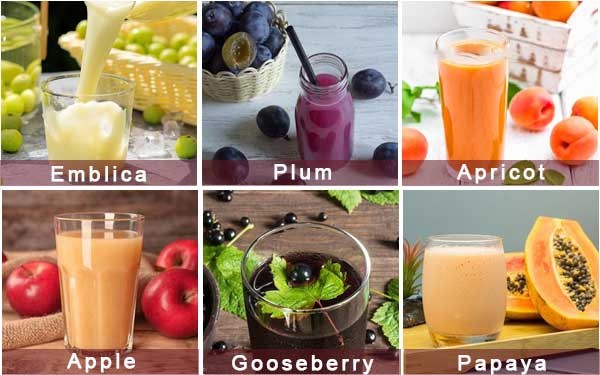 Small Scale Plum Emblica Gooseberry Juice Processing Line - Washing, Coring, Blanching, Juice Extraction