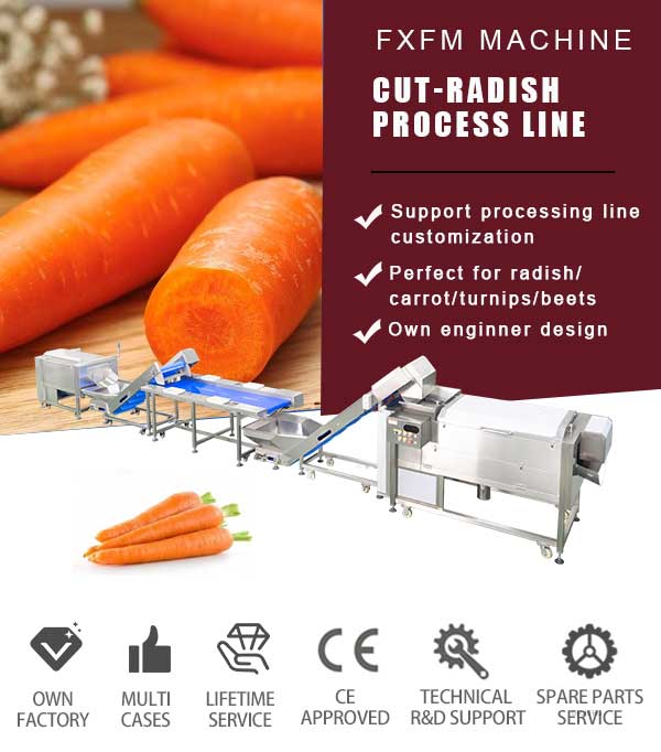 Carrot Processing Line - Washing, Cutting and Peeling Machine