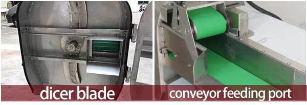 Commercial Vegetable and Fruit Cubes Dicer Machine with Conveyor Belt Feeding