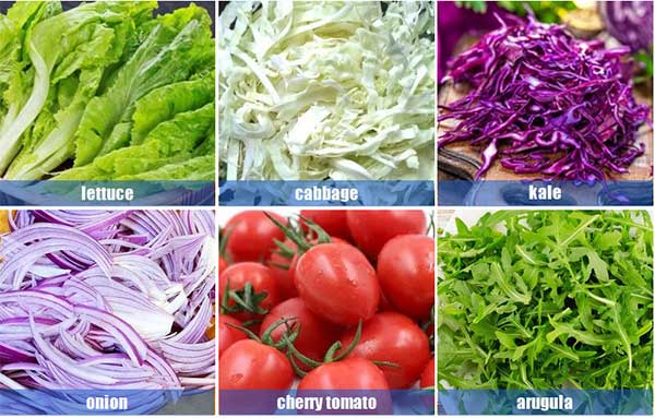 Vortex Lettuce Arugula Salad Vegetable Washer Machine with Debris Removal Drum