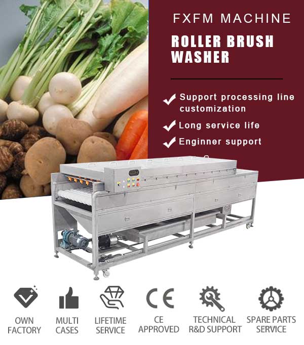Roller Brush Root Vegetable and Fruit Washing Machine with High Pressure Spray