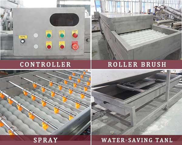 Roller Brush Root Vegetable and Fruit Washing Machine with High Pressure Spray