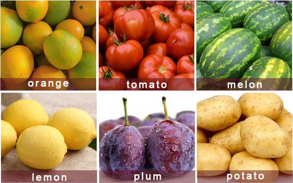 Roller Brush Root Vegetable and Fruit Washing Machine with High Pressure Spray