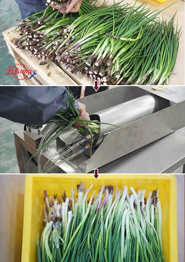 Semi-Auto Pneumatic Shallot Spring Onion Scallion Peeler Machine