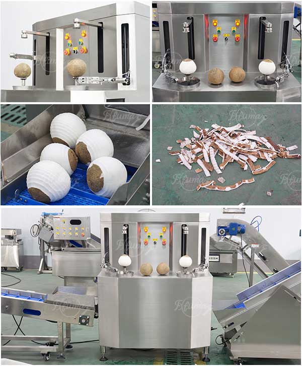 FXP-YZ-2 Doule-Head Coconut Brown Skin Peeling Machine Coconut Peeler Machine