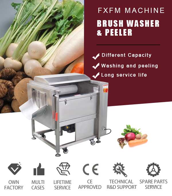Mstp-80 Baby Taro Brush Washing and Peeling Machine