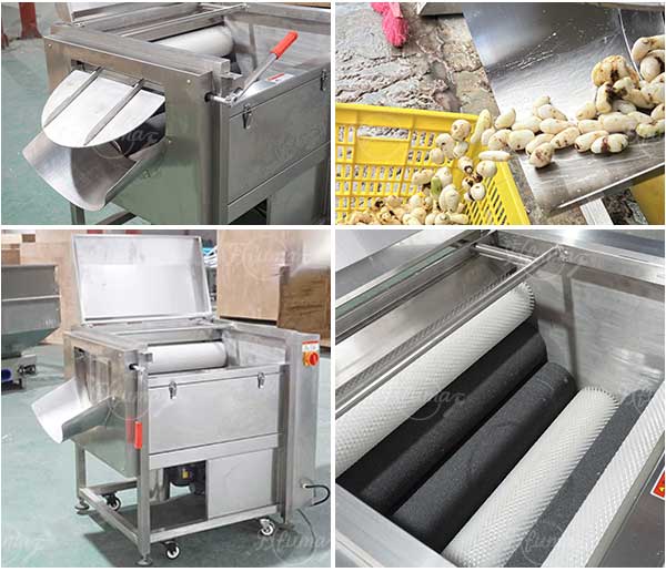 Mstp-80 Baby Taro Brush Washing and Peeling Machine
