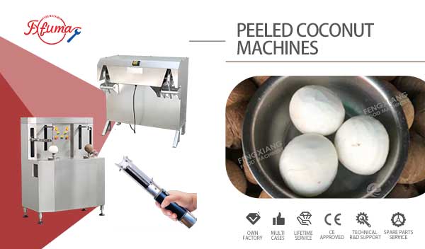 Semi-Auto Cost Effective Coconut Husking Peeling and End Trimming Machines