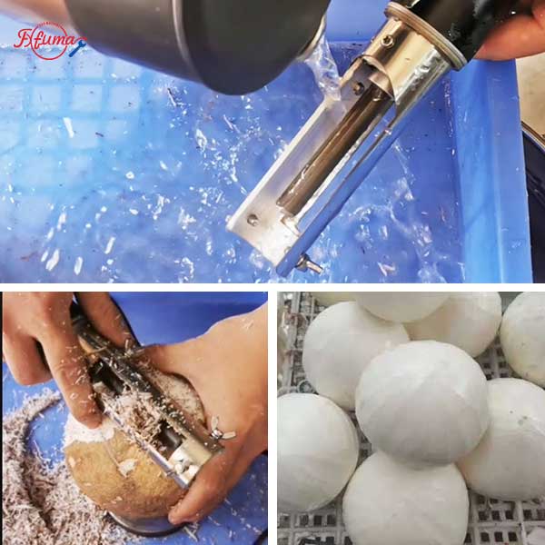 Semi-Auto Cost Effective Coconut Husking Peeling and End Trimming Machines