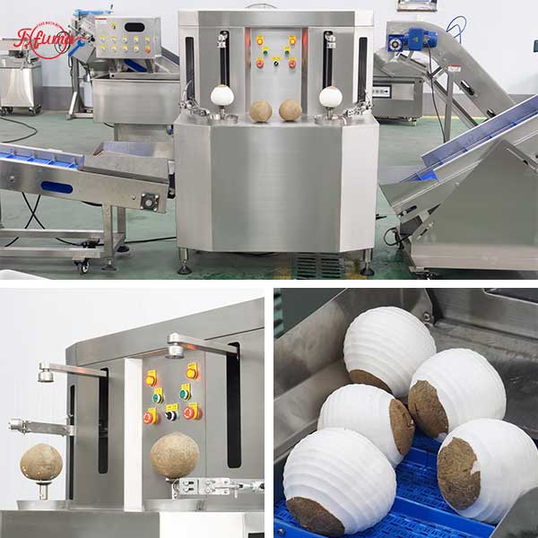Semi-Auto Cost Effective Coconut Husking Peeling and End Trimming Machines