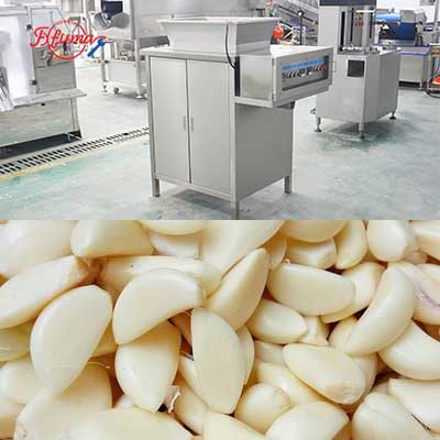 Small and Medium Scale Peeled Garlic Processing Machine Garlic Separator Peeler Washer Air-Dryer Machine