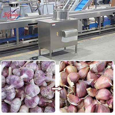 Commercial Automatic Garlic Clove Separator and Peeling Machine Combo