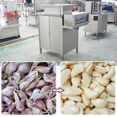 Commercial Automatic Garlic Clove Separator and Peeling Machine Combo