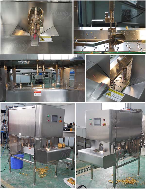 6 in 1 Kiwi Pineapple Lemon Mango Fruit Peeling, Coring, End Trumming, Segments Cutting, Separating, Color Protection Machine